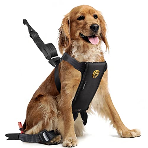 BABYAUTO PETS – Arnés Seguridad Perro Mediano para Coche Travel Fix - Isofix – Top Tether - 3 Puntos de Anclaje - de 8 a 20kg - 45/95 cm diámetro - Certificado homologación - Talla M