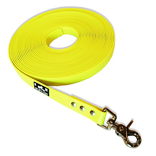 Collar & Leash BIOTHANE YE527 - Correa de arrastre (19 mm, 3 m), color amarillo neón