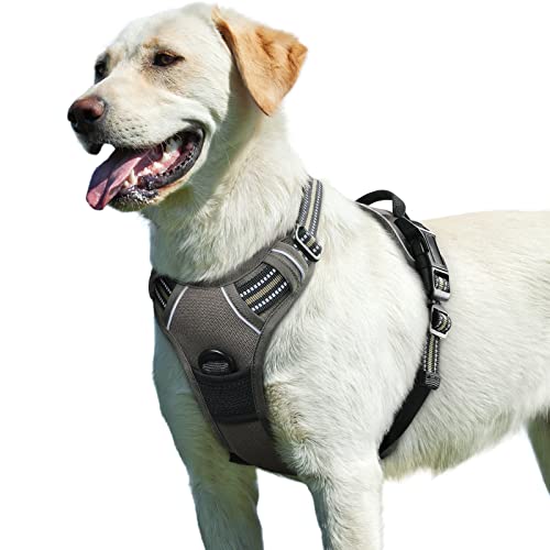 Eagloo Arnes de Perro Antitirones Cómodo Chaleco Ajustable Correa al Cuello y Pecho para Perros Pequeños Material Duradero Transpirable con Cinta Reflectante Adaptarse a Ejercer Externo