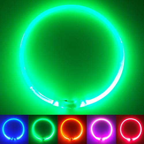 PetSol LED Collar Perro Collar de Seguridad LED Recargable Ultra Luminoso para su Mascota batería de Litio Recargable Mayor Visibilidad y Seguridad Talla única para Todos los Perros y Gatos (Verde)