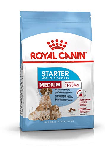 ROYAL CANIN SHN Medium Starter 12000 g