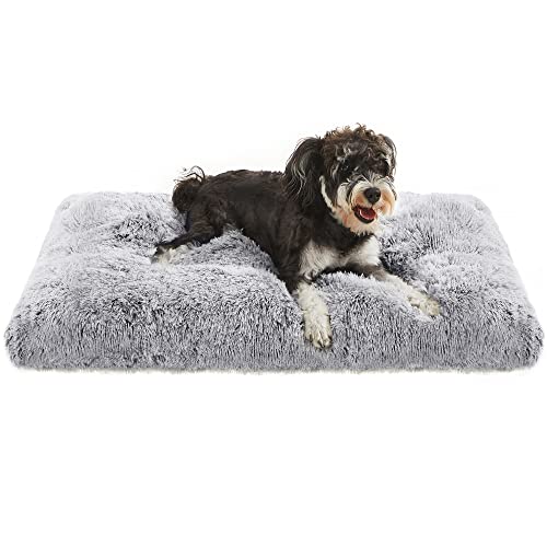 FEANDREA Cama para Perros, Sofá para Mascotas, 80 x 50 cm, Acolchado Suave, Lavable a Máquina, Cojín para Perros, Gris Claro PGW201G01