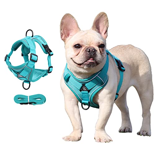 SonoReno Pet Vest Harness - Arnés de Chaleco Transpirable y Ajustable con Rayas Reflectantes, cómodo y Seguro, fácil de Usar, Adecuado para Perros, Gatos y Otras Mascotas