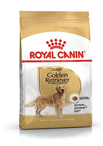 Royal Canin C-08995 S.H. Nut Golden Retriever - 12 Kg