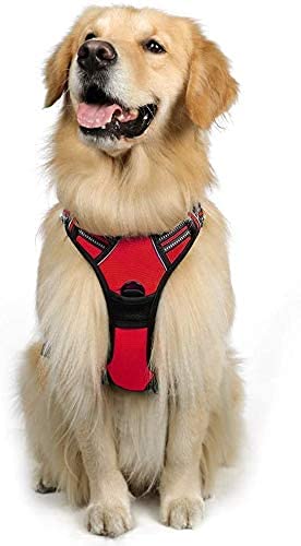 rabbitgoo Arnes Perro Grande, Arnes Perro Antitirones Coche con Lineas Reflecantes, Chaleco Acolchado Ajustable Transpirable con Asa y Anillos para Adiesreamiento Correr Tamaño L Color Rojo