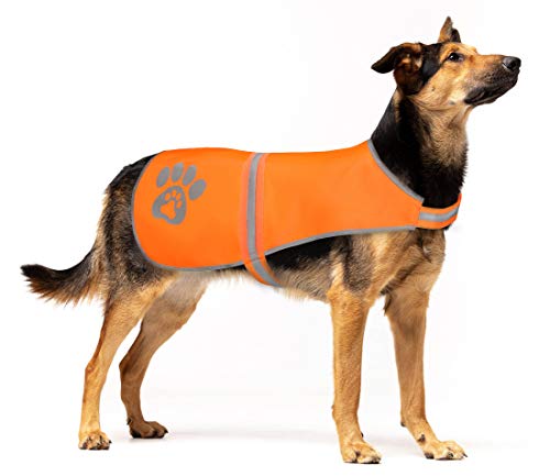 SPOFLY Chaleco para Perro, Chaleco de Caza de Color Naranja, Chaqueta Reflectante de Seguridad para Perros, Alta Visibilidad y Seguridad de Cazadores, Coches y Otros (Blaze Orange, XS)