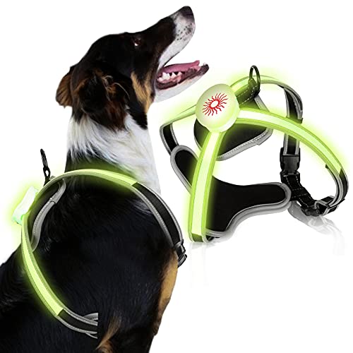 Riossad Arnés LED para perros, arnés de pecho para perros, arnés iluminado, recargable por USB y chaleco para perros luminoso + reflectante