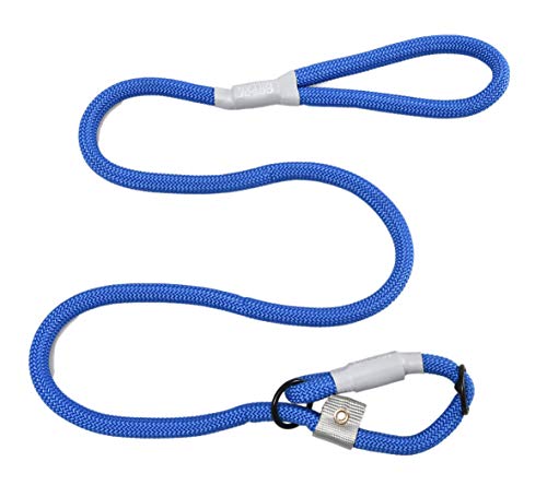 Cesar Millan Correa de adiestramiento de Nylon - Correa de adiestramiento para Perros - 2 en 1 Collar y Correa para Perros Azul Grande/Extra Grande