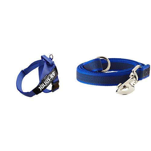 Arnés para cinturón de seguridad JULIUS-K9 y Correa para Perro, con Mango y Junta Tórica - color azul - talla: 3