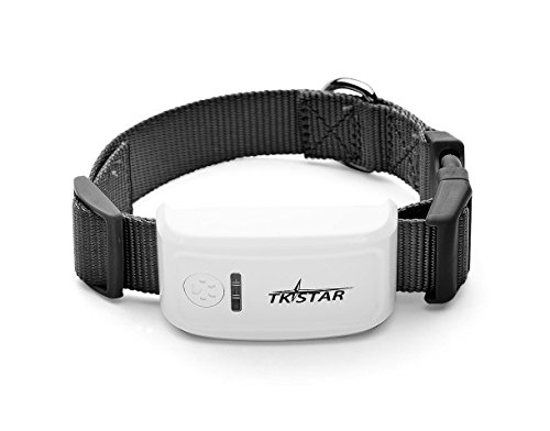 Rastreador GPS TKSTAR para perros, rastreo con collar en tiempo real Localizador GPS Monitor de actividad de mascotas Anti-Lost con una plataforma de rastreo en línea gratuita TK909 (Negro)