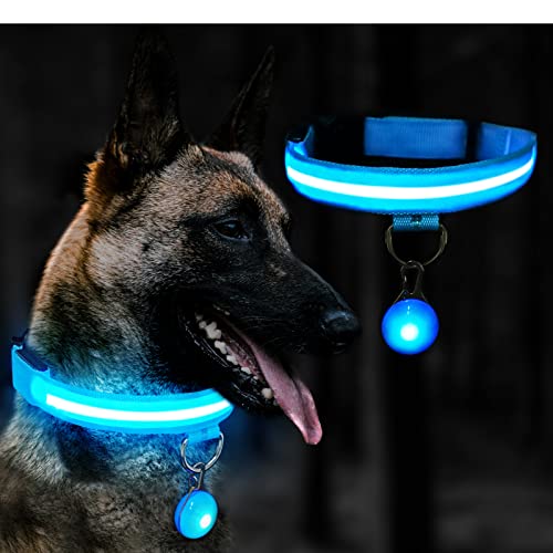 Kriogor Collar Luminoso Perro Recargable, 3 Modos LED Collar Luminoso Perro con Ajustable y Impermeable, Collar Perro Luminoso para Perros Pequeños/Medianos/Grandes(M, Azul)