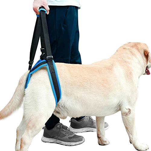 MILECN Arnés de Elevación para Perros - Arnés de Soporte de Elevación para Perros para Patas Traseras Débiles,para Perros Pequeños y Grandes Caminando Alivio del Dolor,XL