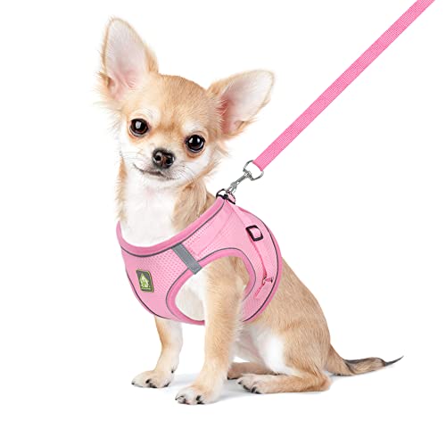 FEimaX Arnés para Perro y Conjunto de Correa, Acolchado con Malla Suave, Chaleco para Cachorros Reflectante y Ajustable para Perros y Gatos Pequeños Rosado