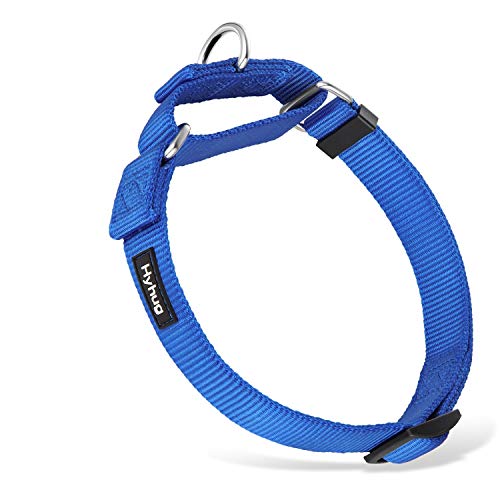 Hyhug Collar de Perro y niña Martingale pequeño Cachorro, Duradero, Que no se Puede Escapar: Entrenamiento a pie Uso Diario (Pequeño S, Azul Brillante)