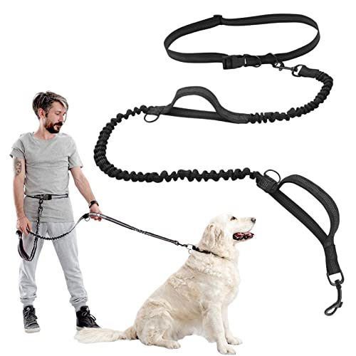 weemoment Correas de perro manos libres, correas de perro manos libres, correa elástica para mascotas para perros grandes, perros medianos, accesorios para pasear perros, diseño reflectante