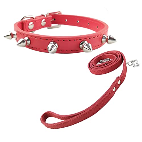 Newtensina Perros de Moda Collar y Correa con Pernos Punky de Pernos Tachonado Collar con Correa para Perros