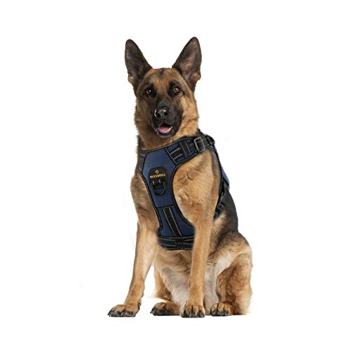 Arnes Perro Antitirones Pequeño Mediano Grande Arnés Pecho Perros Coche con Control de Manija y Linea Reflectante, Ajustable Cómodo Acolchado Arnes Chaleco Perro para Adiesreamiento(Azul, XL)