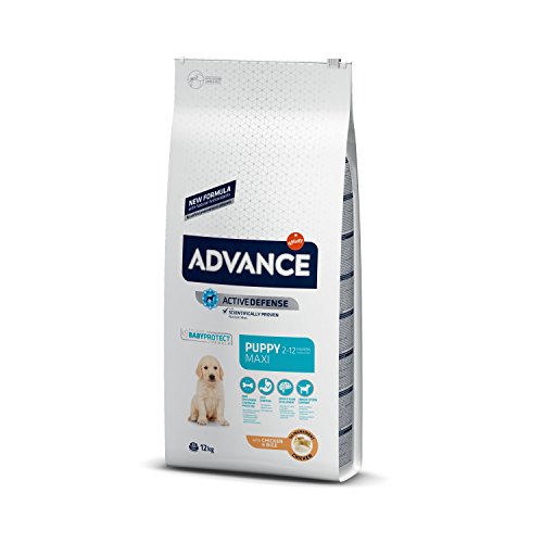 Advance Maxi Puppy, Pienso para Perritos Puppy (2 a 12 meses) de Razas Grandes con Pollo, 12kg