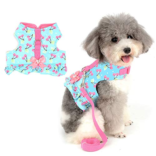 Zunea Arnés y Correa para Perro Pequeño Niña Antitirones Cachorro Chihuahua Vestido Antifugas Arnes Pecho Suave Cómodo Chaleco Floral Acolchado con Bowknot para Hembra Gato Caminar Azul XS