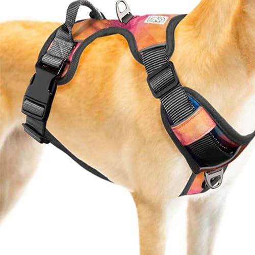 Embark Urban - Arnés para perro, fácil de poner y quitar con accesorios de correa delantera y trasera y mango de control, tamaño ajustable y no estrangulador (pequeño, Aurora)