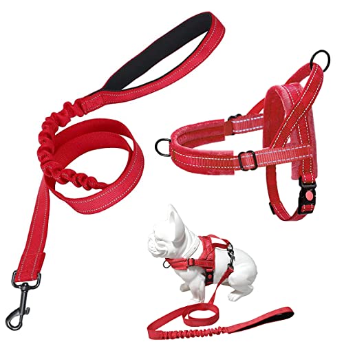 Arnés para Perros con Correa, Arnés Ajustable Reflectante Acolchado de Franela Suave, Correa de Perro Acolchado Suave y Extensible Elegante y Fácil de Usar para Perros Pequeños y Medianos (S, Rojo)