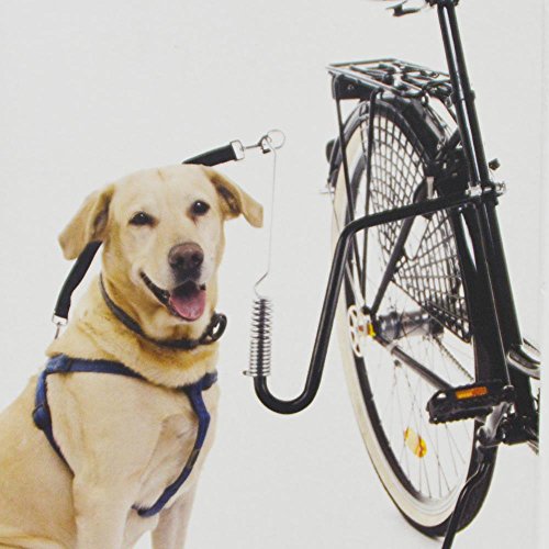 DRULINE Correa de perro para bicicleta, distanciador de bicicleta, soporte para bicicleta, acero plateado/negro/nailon, aprox. 125 cm, mecanismo de fijación rápida, incluye material de fijación