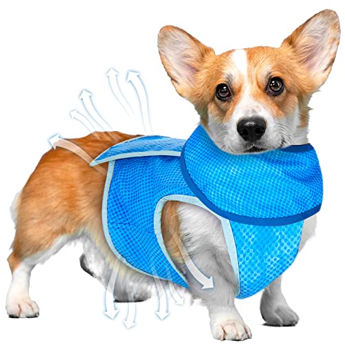 Set de Chaleco de Refrigeración para Perro y Bandana de Enfriamiento para Mascota Chaqueta Refrescante Ajustable de Verano Collar Pañuelo Refrigerante para Cachorro, Azul (S)