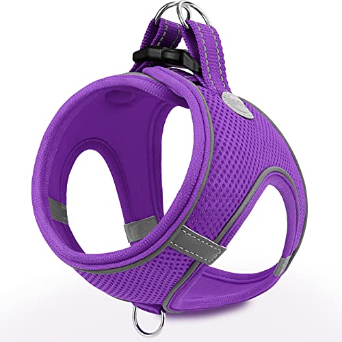 Joytale Arnes Perro, Reflectante Cómodo Transpirable Arnés, Perros Arneses Chaleco para Gato y Cachorros Perro, Morado, XS