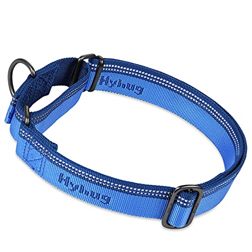 Collar de Perro de martingala Reflectante Hyhug Pets con Nailon de Tejido Jacquard Agradable para Perros de Uso Diario. (Grande L, Azul clásico)