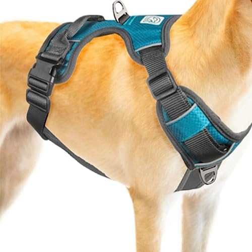 Embark Pets Arnés para Mascotas Grande (79-104 cm, Azul)