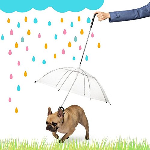 Ducomi Dogbrella - Paraguas para Perros y Gatos con Correa - Ligero y Práctico - Ofrezca lo Mejor a su Mascota Durante Días Lluviosos - Ø 75 cm