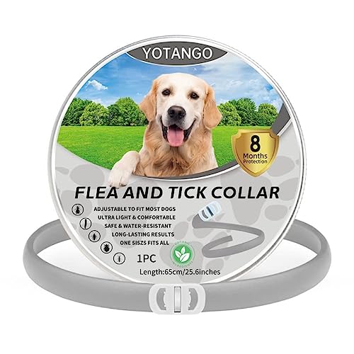 Collares Antiparasitario para Perros, Collar Antiparasitario Perros, Ajustable Impermeable Collar Antipulgas Perros 8 Meses de Protección Natural-para Perros Cachorros Grandes-Grigio