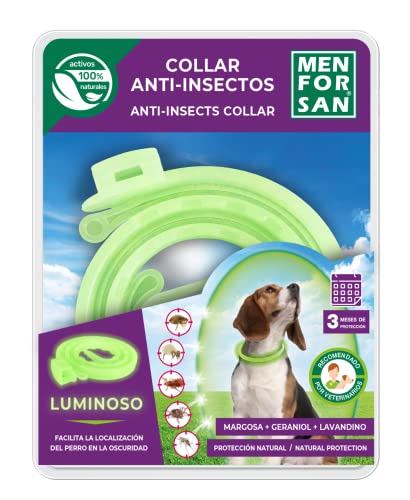 MENFORSAN Collar luminiscente Anti-Insectos para Perros con 3 repelentes Naturales Margosa, Geraniol y Lavandino, Largura 57cm Auto Ajustable