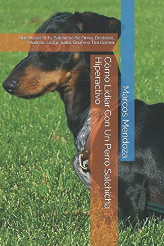 Cómo Lidiar Con Un Perro Salchicha Hiperactivo: Qué Hacer Si Tu Salchicha Se Orina, Destroza, Muerde, Ladra, Salta, Gruñe o Tira Correa