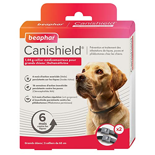 Beaphar - Canishield Perro 2 Collares x 65cm - Collar Antiparasitiario contra Pulgas, Garrapatas y Flebotomos - Pack Doble Duración Anual