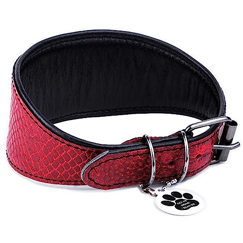 FAVPET Collar de Cuero Suave con Etiqueta de ID QR para Galgo, Galgo Italiano, Saluki, Borzoi, Lurcher, Galgo Español, Azawakh, Xoloitzcuintli, Collar de Perro Hecho a Mano de Cuero (S, Rojo)