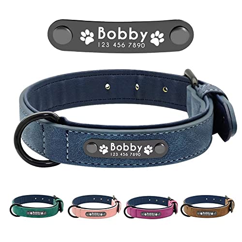 Didog - Collar de Piel Suave Acolchada Personalizable para Perro, Chapa de Nombre, Anilla en D, Collar Grabado para Perro, tamaños pequeño, Mediano y Grande