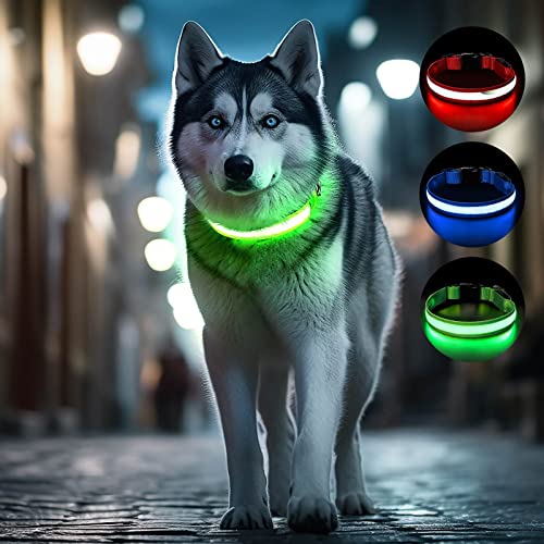 Collar luminoso para perros – LED recargable USB-C & impermeable, visibilidad y seguridad por la noche, luces potentes,DANDY DOGS Classic LED (Verde, M)