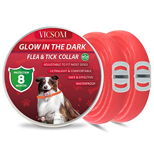 Collares Antiparasitario para Perros, Luminoso Collar Antipulgas Perros, Collar de Pulgas y Garrapatas para Perro Impermeable Regulable, Válido 8 Meses para Perros de Todos los Tamaños 2Pcs Rojo