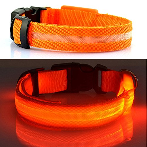 Collar para mascota con luz LED intermitente de seguridad para perro, gato o gato