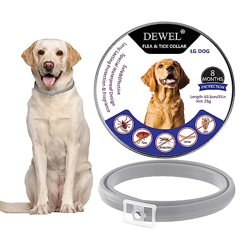 DEWEL Collar Antipulgas y Garrapatas, Collar contra Pulgas para Perro y Gato Pequeño Mediano y Grande, 8 Meses de Protección, Longitud Ajustable