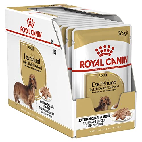 ROYAL CANIN Adult Bassotto Comida para Perros - Paquete de 12 x 85 gr - Total: 1020 gr