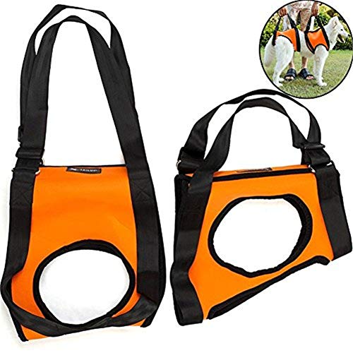 WESDOO Arnes Perro Grande Arnes Perro Patas Traseras Perro Llevar Honda Arnés de Apoyo para Perros para Patas traseras Orange,Front-Leg-m