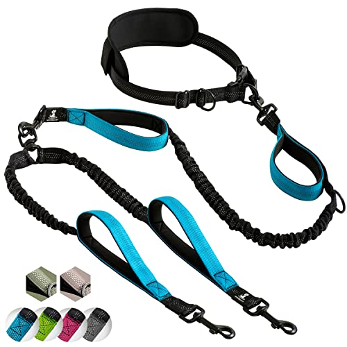 SparklyPets - Correa doble manos libres para perros de raza mediana y grande, arnés profesional con costuras reflectantes, para entrenar, caminar, trotar y correr con tu mascota (Azul, Para 2 Perros)