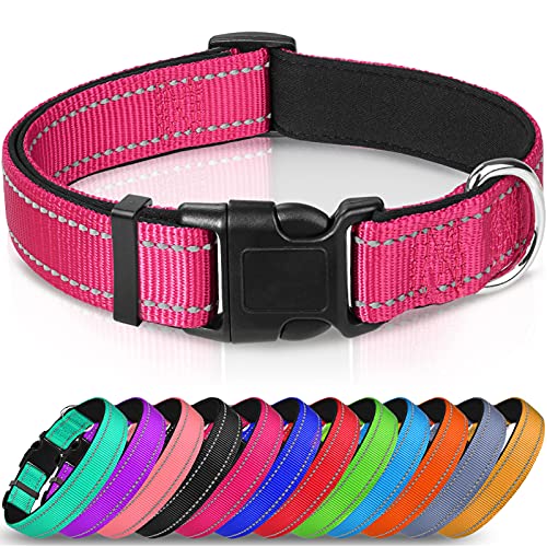 Joytale Collar Perro Reflectante,Nylon Collar Acolchado con Neopreno,Ajustable para Perros Pequeño,30-40cm,Rosa Caliente