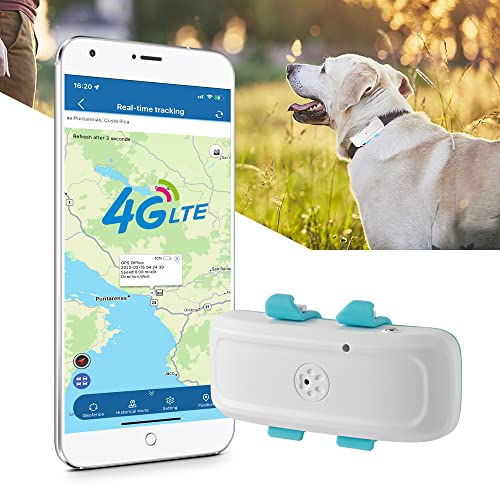 Collar GPS Perros 4G Sin Subscripción con Seguimiento en Vivo Localizador GPS Perros con Alarma de Sonido y Luz Detección de Movimiento Gato Grande Dog Tracker con App Gratis TK911Pro 4G