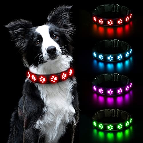 AUAUY Collar Luminoso Perro, Collar Luminoso Impermeable Recargable por USB, Ajustable Collar LED Perro para Perros Pequeños Medianos Grandes Que Caminan de Noche con Seguridad (Rojo-S)