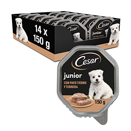 Cesar Comida Húmeda para Perros Cachorros, Sabor Pavo y Ternera (Pack de 14 Tarrinas x 150g)