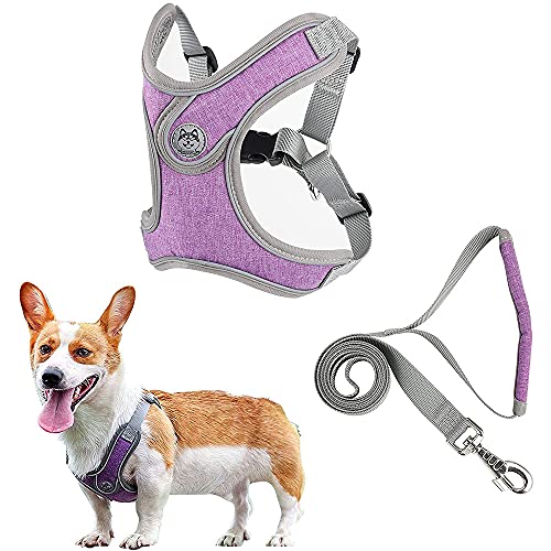 Arnés Ajustable para Perros, Arnés para Perros, Arnés para Perros Pequeños, Arnés Reflectante Ajustable para Perros, Arnés Reflectante Ajustable para Perros, para Perros Pequeños y Medianos (S)