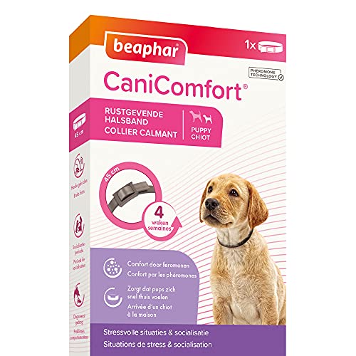 Beaphar Canicomfort - Collar calmante con feromonas para Perro, 1 Unidad de 45 cm